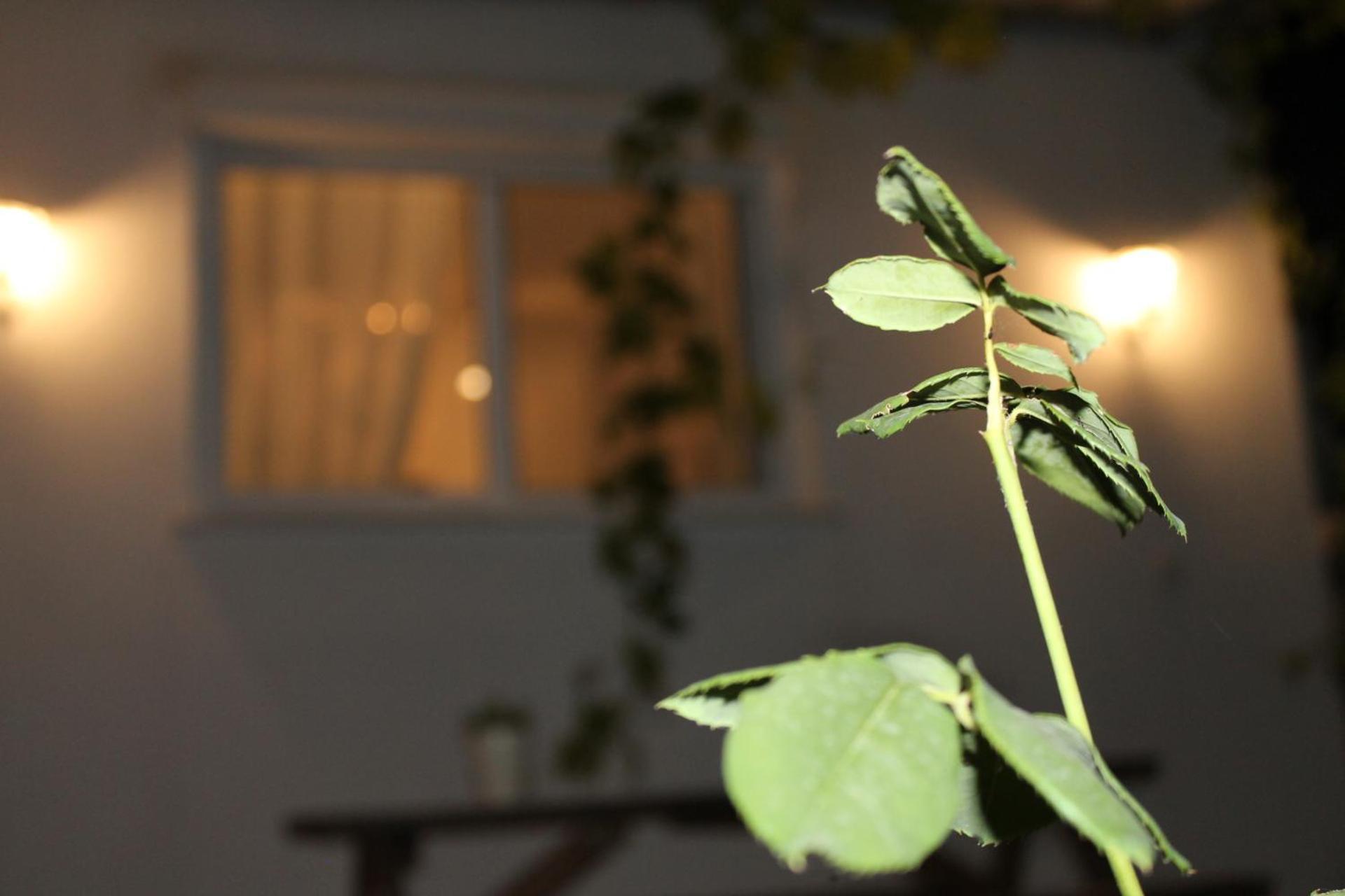 Ηώς Apartment Thassos Kültér fotó